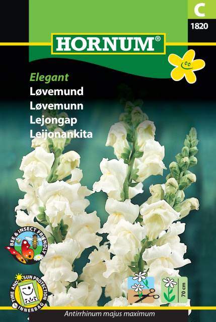 Lejongap 'Elegant' frö