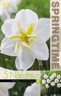 Stjärnnarciss 'Lemon Beauty' 5st