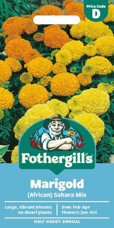 Stor Tagetes 'Sahara Mix'