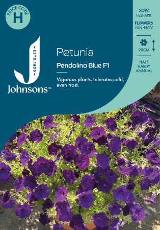 Petunia 'Pendolino Blue' F1
