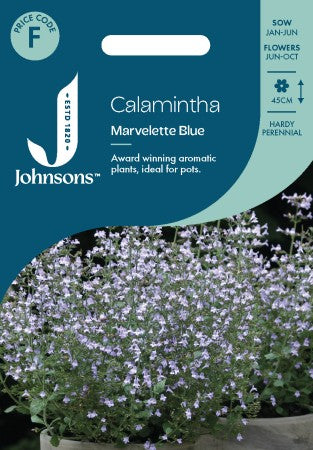 Stenkyndel 'Marvelette Blue'