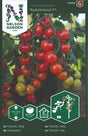 Körsbärstomat 'Rubylicious' F1