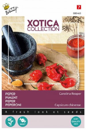 Chilipeppar 'Carolina Reaper'