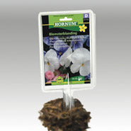 PRIMA Etiketthållare 5-pack