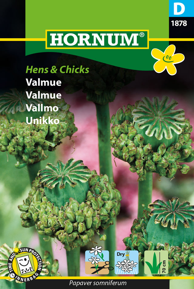 Vallmo 'Hens and Chicks' frö