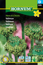Vallmo 'Hens and Chicks' frö