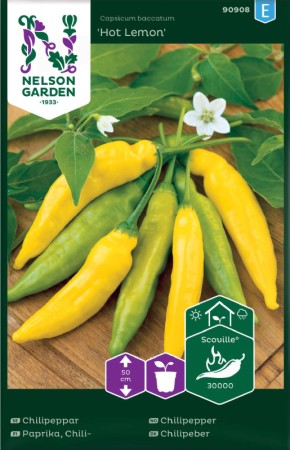Chilipeppar 'Hot Lemon'