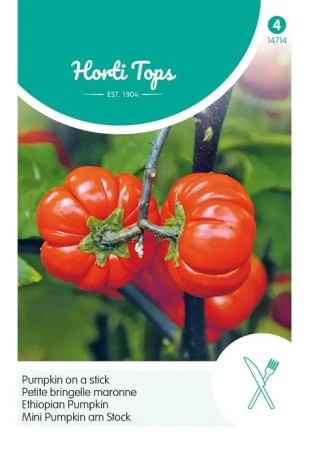 Röd Aubergine 'Pumpkin on a stick'