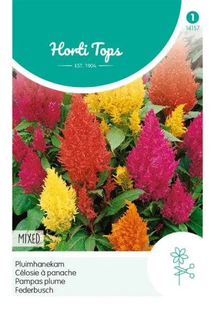 Plymört Mixed