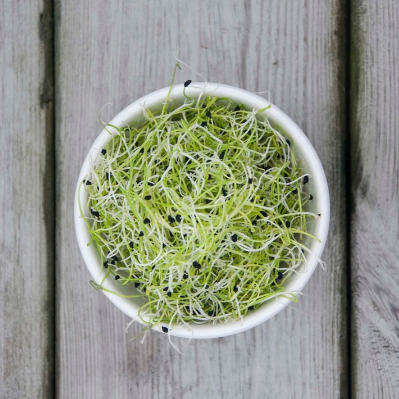 Sproutly: Purjolöksfrön 140g