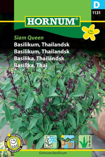 Thailändsk Basilika 'Siam Queen' frö