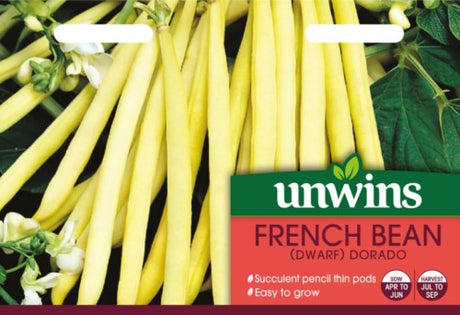 Brytböna 'Dwarf Dorado'