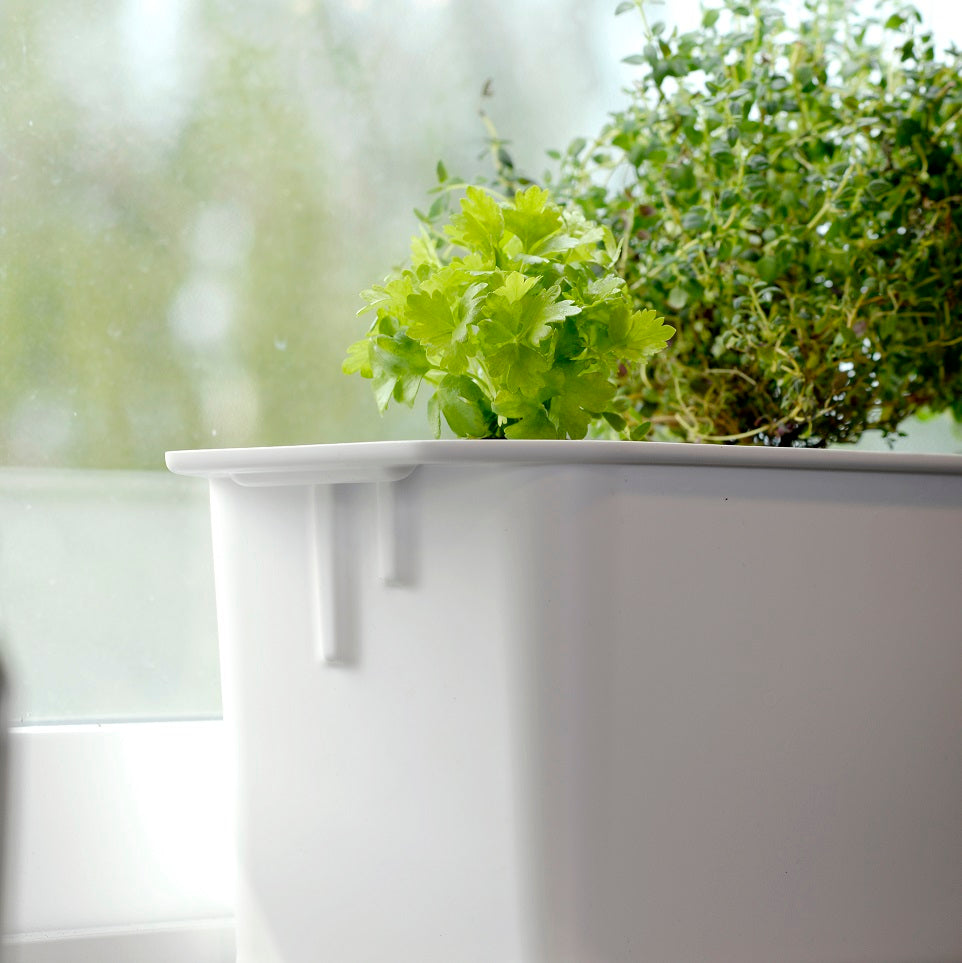 Hydroponisk odling 'Harvy- 3' Startkit - Vit