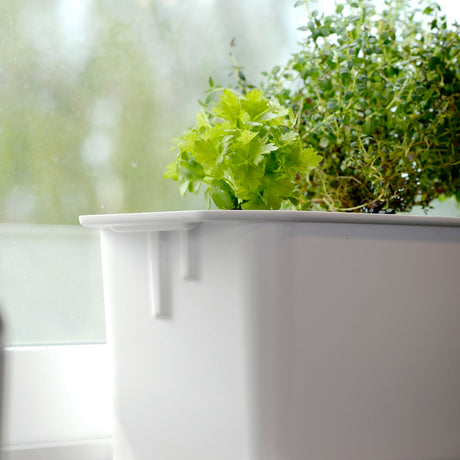 Hydroponisk odling 'Harvy- 6' Startkit - Vit