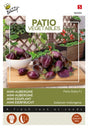 Aubergine Mini 'Patio Baby' F1