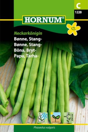 Brytböna 'Neckarkönigin' frö