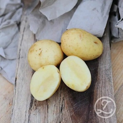 Sättpotatis - Maria 1kg