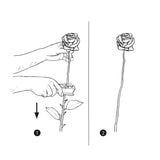 Rostaggsborttagare L13,5cm