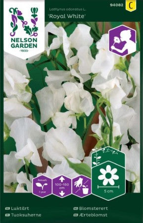 Luktärt 'Royal White' frö