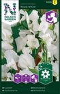 Luktärt 'Royal White' frö