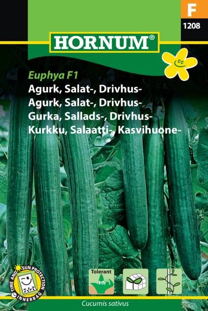 Salladsgurka 'Euphya' F1 frö