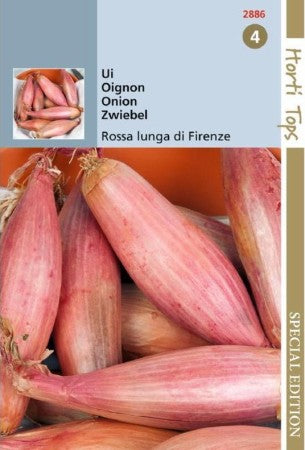 Salladslök 'Rossa Lunga di Firenze'