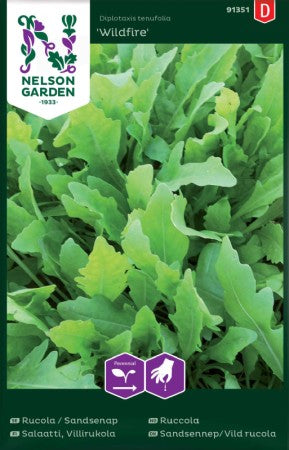 Rucola Sandsenap 'Wildfire'