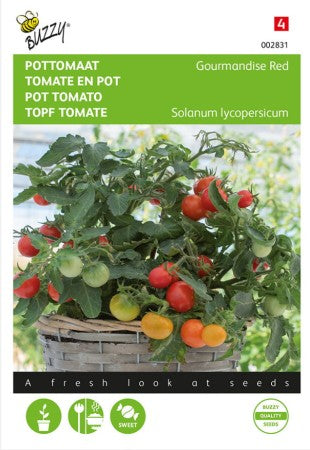 Kruktomat 'Micro Cherry'