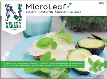 Micro Leaf  'Gurkört'