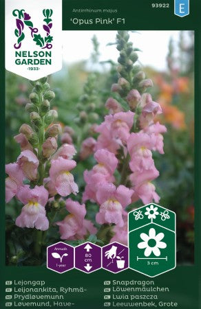 Lejongap 'Opus Pink 'F1