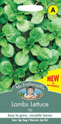 Machesallat Vintersallad