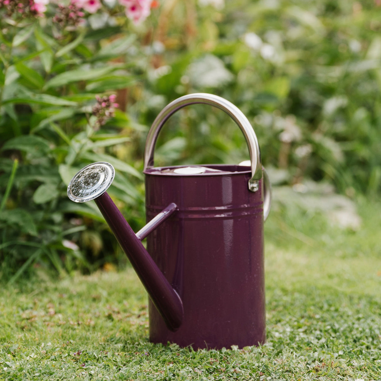 Kent & Stowe Vattenkanna - Deep Violet 4,5l