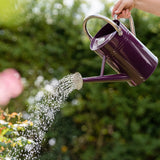 Kent & Stowe Vattenkanna - Deep Violet 4,5l