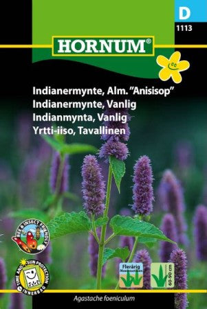 Anisisop Indianmynta Lila frö