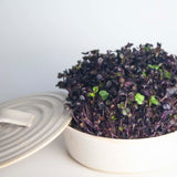 Sproutly: Ellens Skottfat Vit