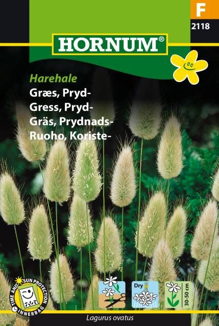 Prydnadsgräs Harsvans