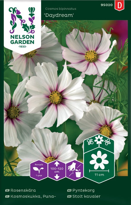 Rosenskära 'Daydream'