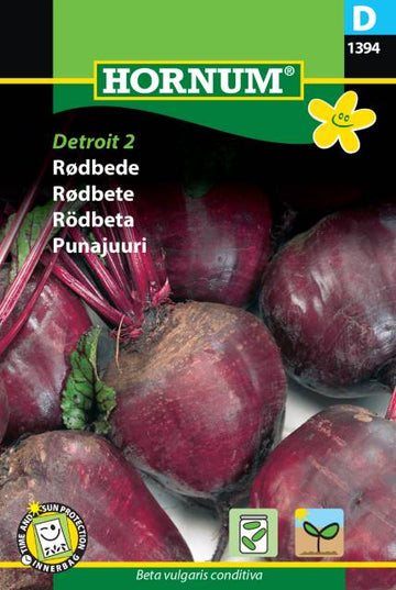 Rödbeta 'Detroit 2' frö
