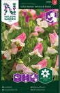 Luktärt 'Villa Roma White & Rose' frö