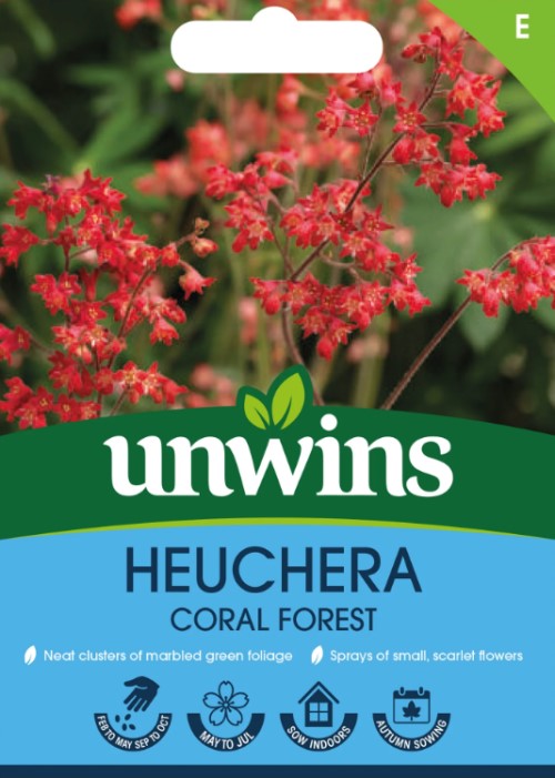 Alunrot 'Coral Forest'