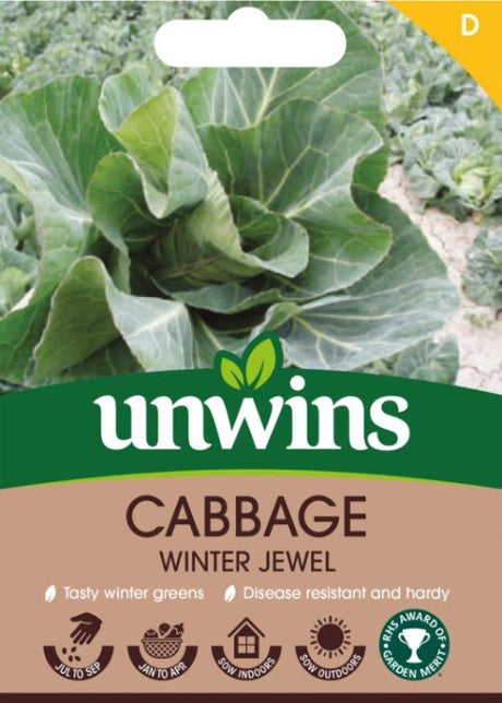 Vitkål 'Winter Jewel'