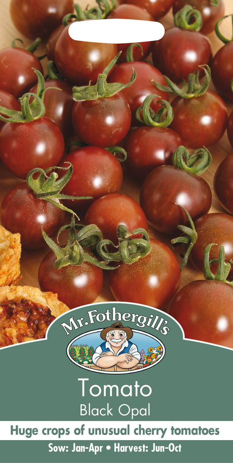 Körsbärstomat 'Black Opal'