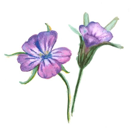 Vildblomma Klätt