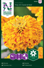 Zinnia 'Pop Art Gold & Red'