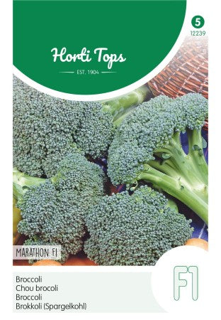 Broccoli 'Spello' F1