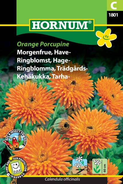 Ringblomma 'Orange Porcupine' frö