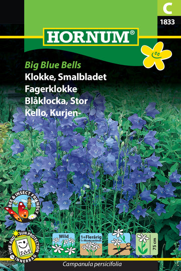 Blåklocka 'Big Blue Bells' frö