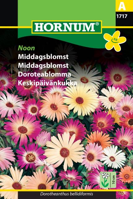 Doroteablomma Mix 'Noon' frö