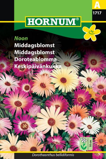 Doroteablomma Mix 'Noon' frö