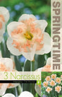 Stjärnnarciss 'Pink Wonder' 3st